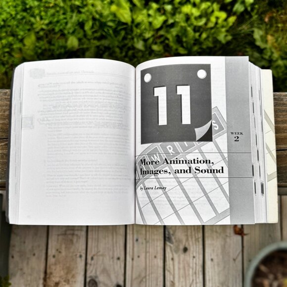 Teach Yourself JAVA in 21 Days  Book & CD-ROM - Picture 4 of 10